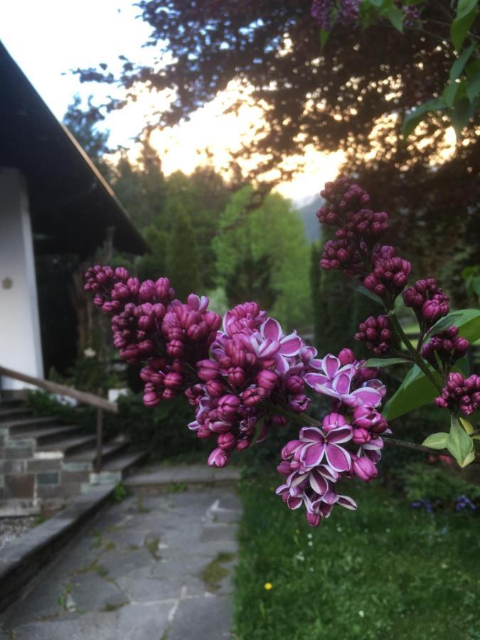 Ferienhaus Wieswald 에르발트 외부 사진