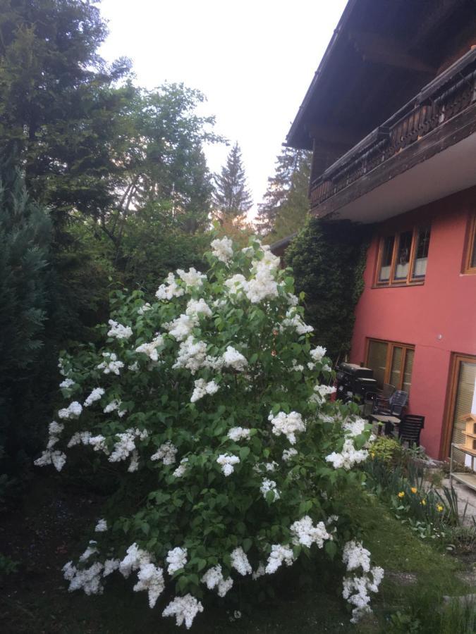 Ferienhaus Wieswald 에르발트 외부 사진